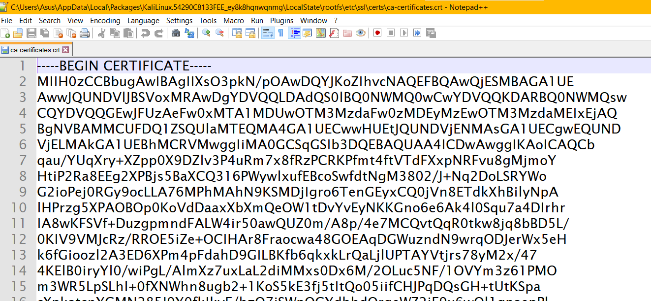 isi file CA